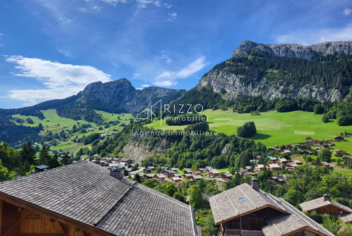 À vendre : Appartement T2 avec vue magnifique à Le Grand Bornand 