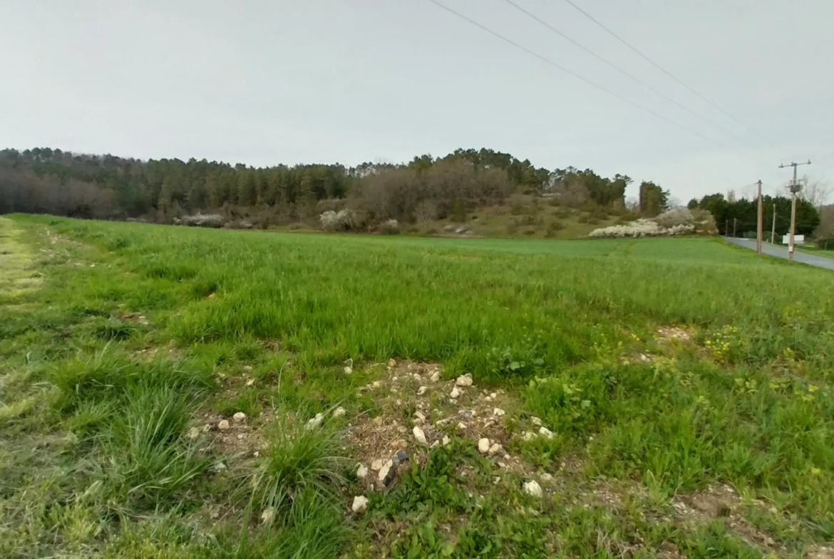 Terrain constructible de 1,9 hectares à Château l'évêque 