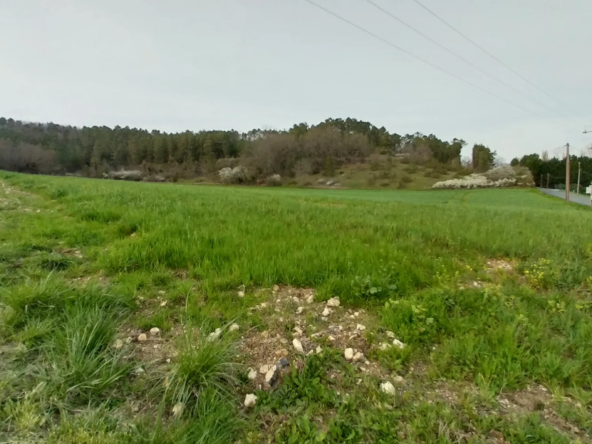 Terrain constructible de 1,9 hectares à Château l'évêque