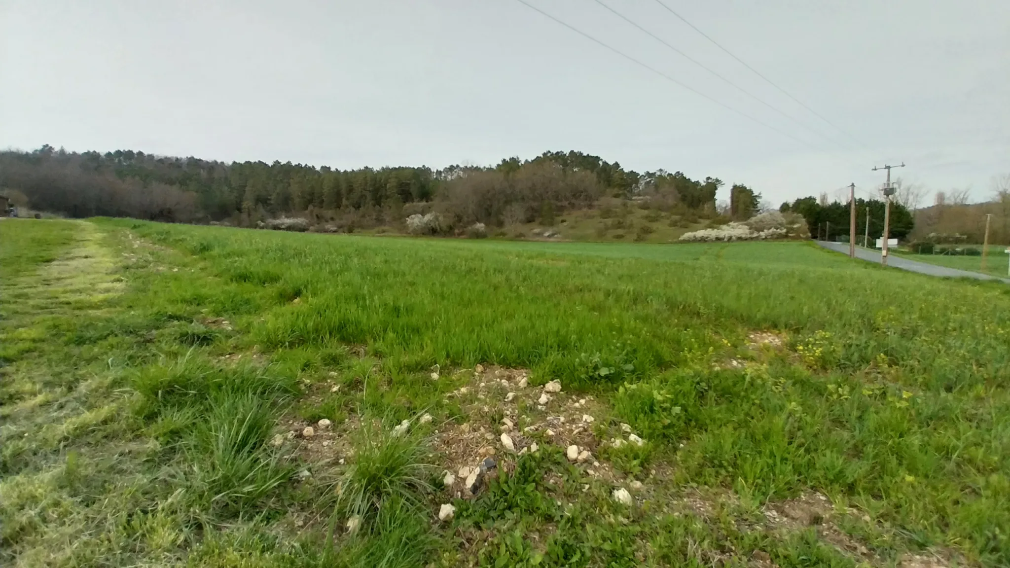 Terrain constructible de 1,9 hectares à Château l'évêque 