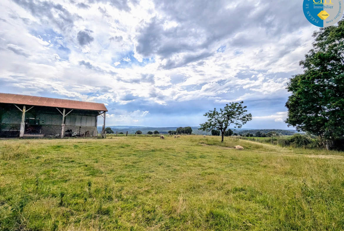 Longère à vendre à Plélan le Grand avec vue sur Brocéliande 