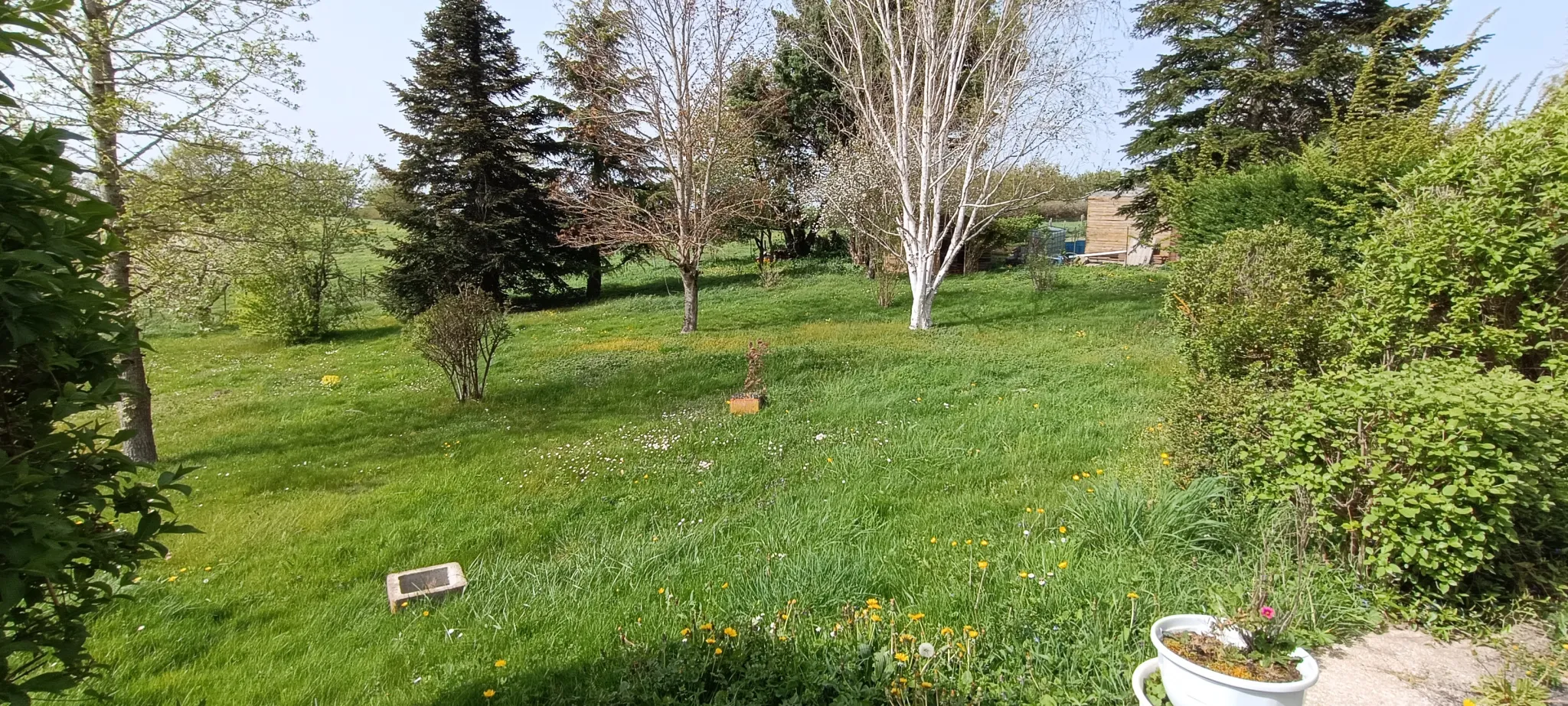 Maison au calme avec vie de plain pied à Espinasse Vozelle 