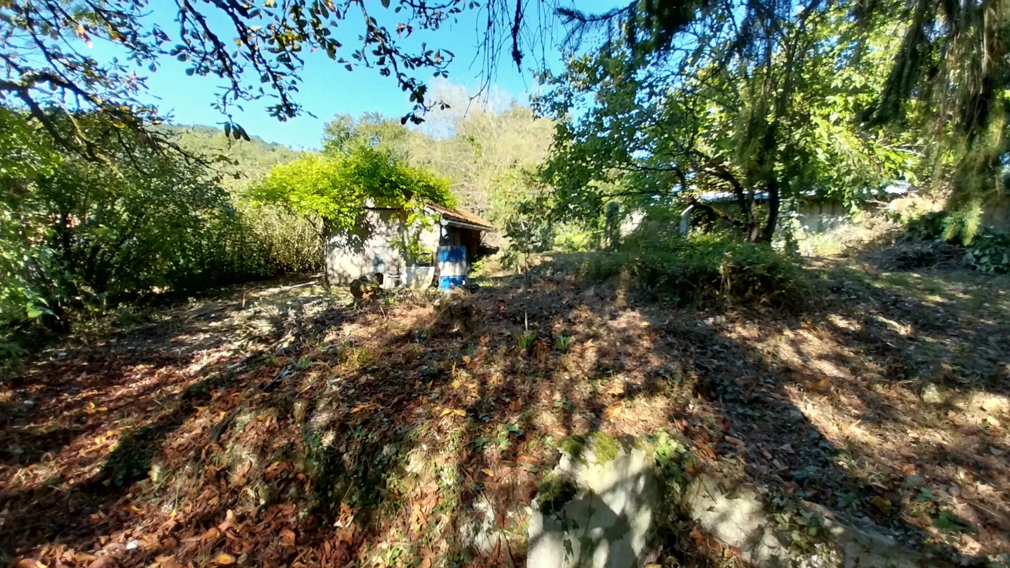 Maison Familiale Rénovée à Chancelade avec Dépendances 