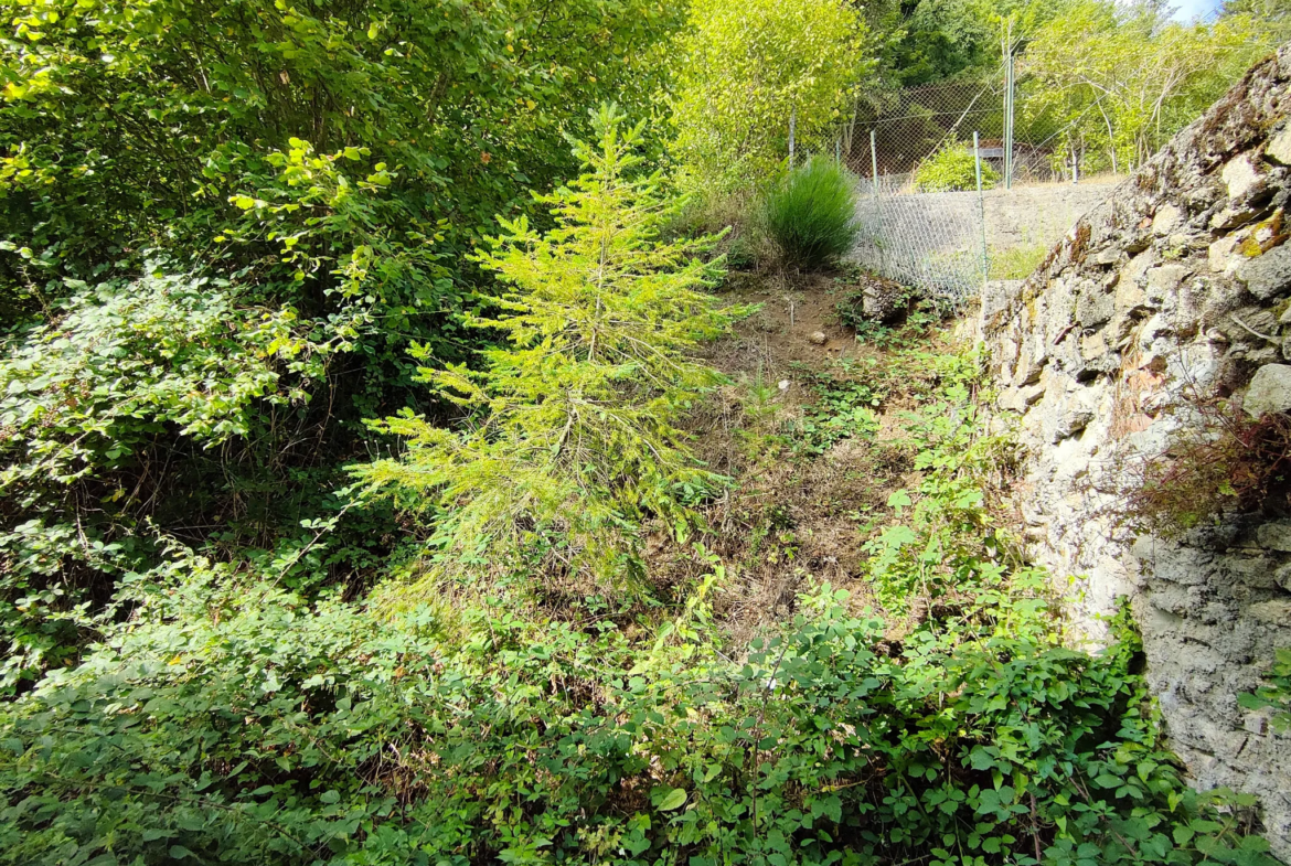 Maison 4 pièces à Laprugne dans la Montagne Bourbonnaise 