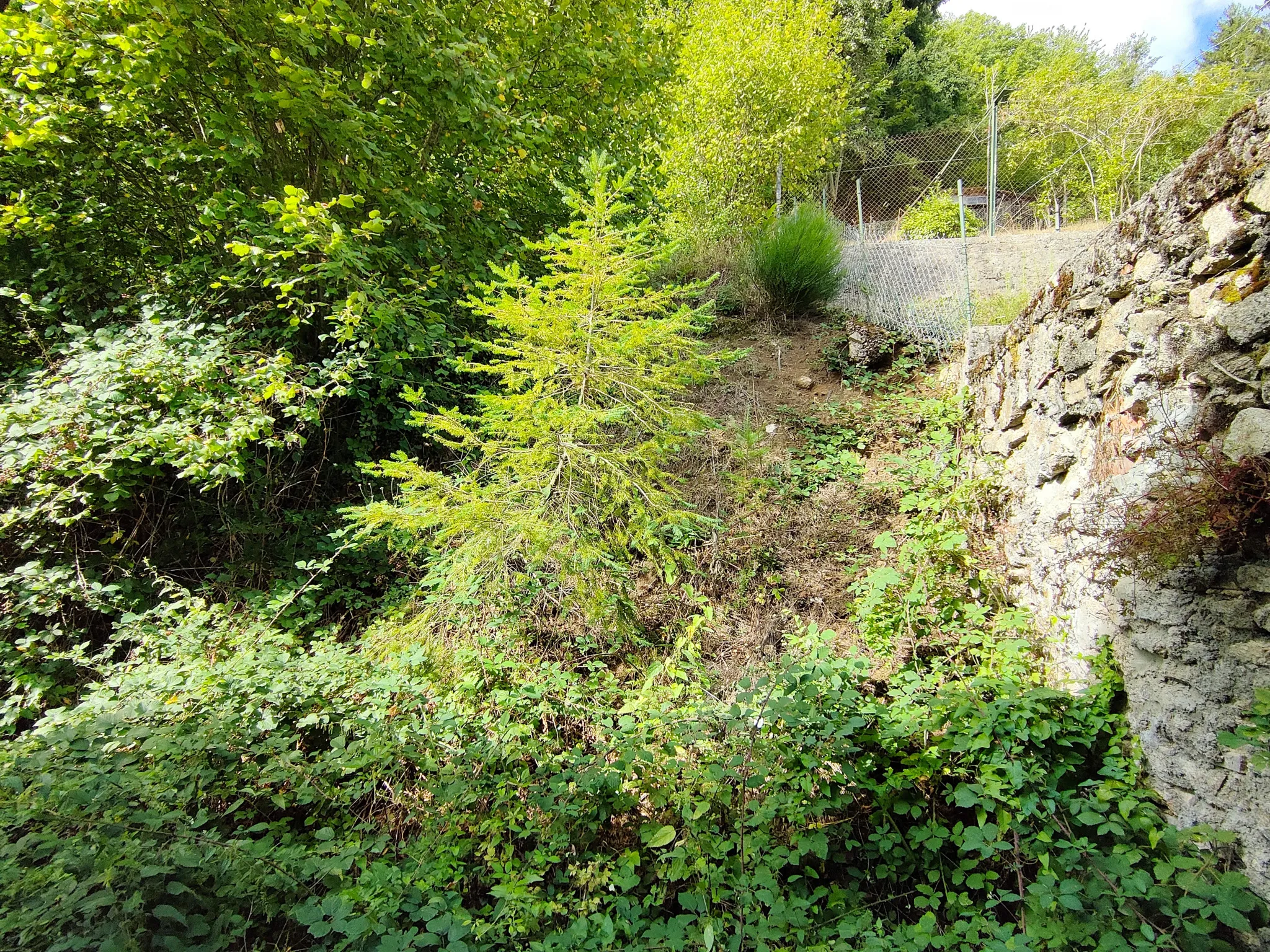 Maison 4 pièces à Laprugne dans la Montagne Bourbonnaise 