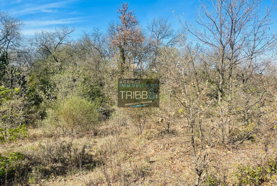 Terrain Agricole à Fourques - 7180 m² avec Vue sur les Pyrénées 