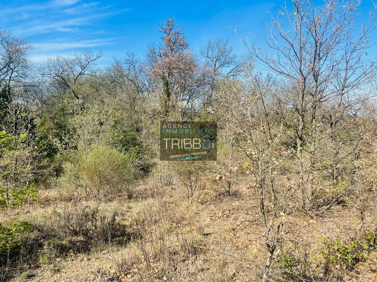 Terrain Agricole à Fourques - 7180 m² avec Vue sur les Pyrénées 