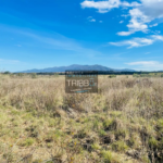 Terrain Agricole à Fourques - 7180 m² avec Vue sur les Pyrénées