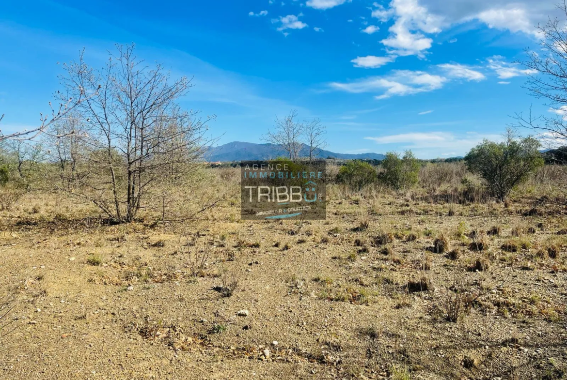 Terrain Agricole à Fourques - 7180 m² avec Vue sur les Pyrénées 