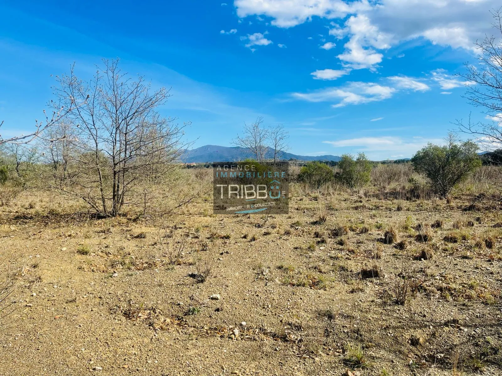 Terrain Agricole à Fourques - 7180 m² avec Vue sur les Pyrénées 