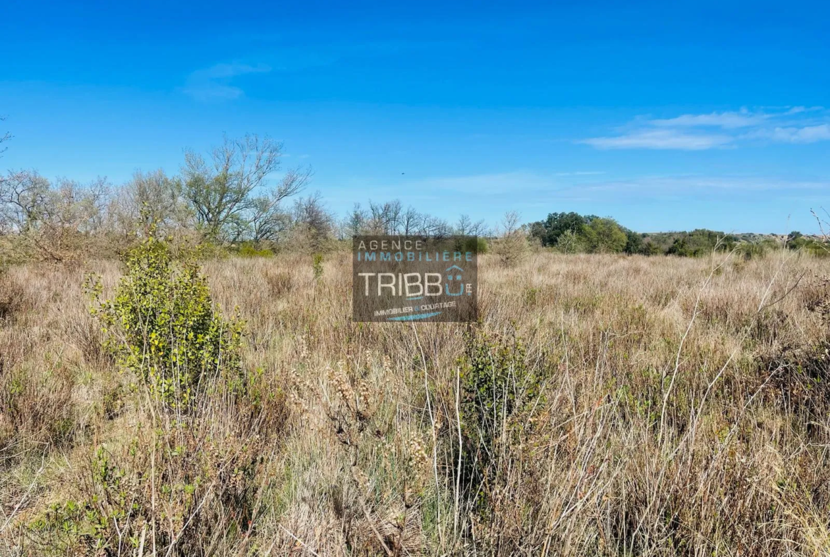 Terrain Agricole à Fourques - 7180 m² avec Vue sur les Pyrénées 