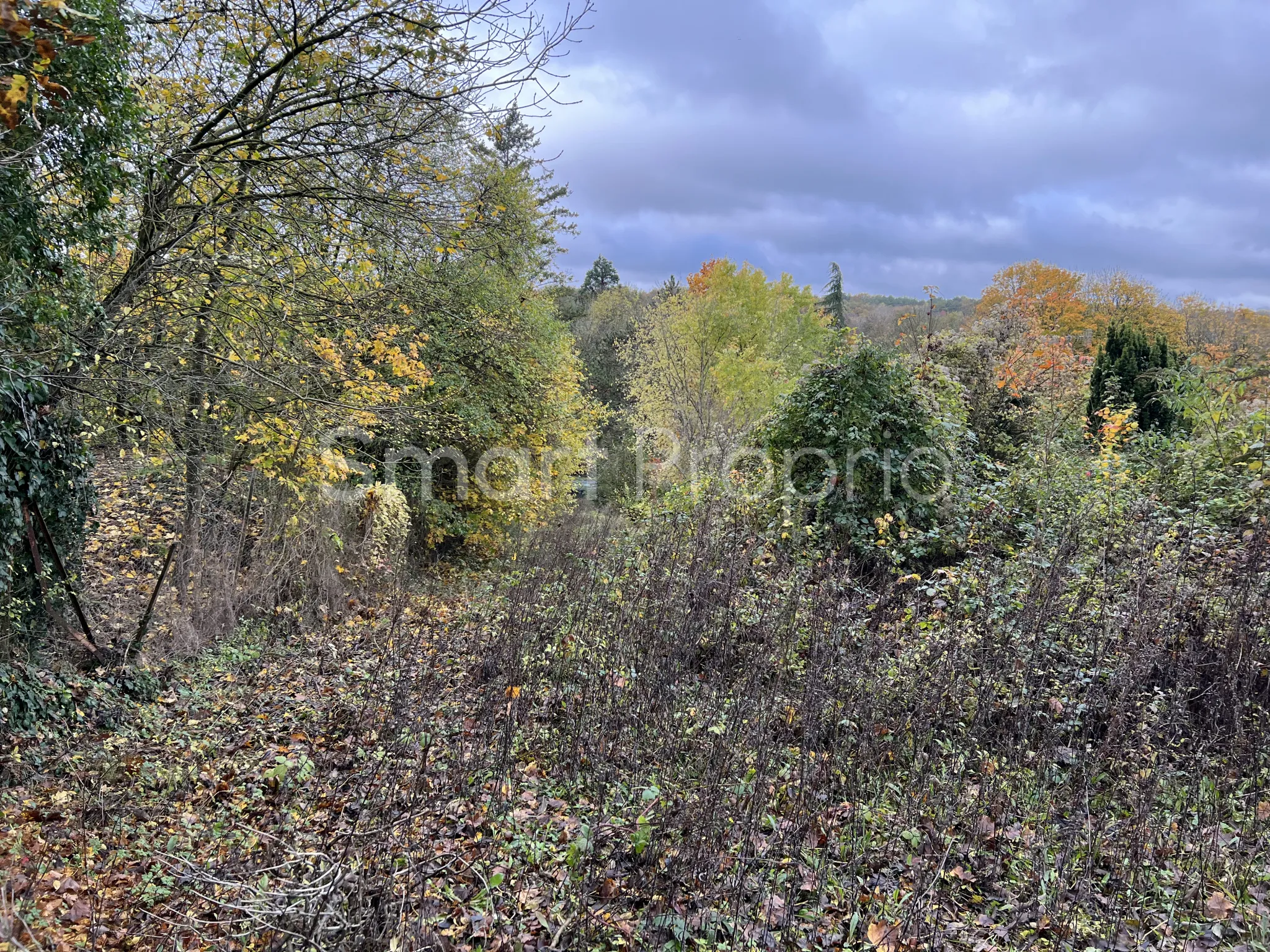 Terrain de 3 429 m² à Vendre à Bagneaux sur Loing 