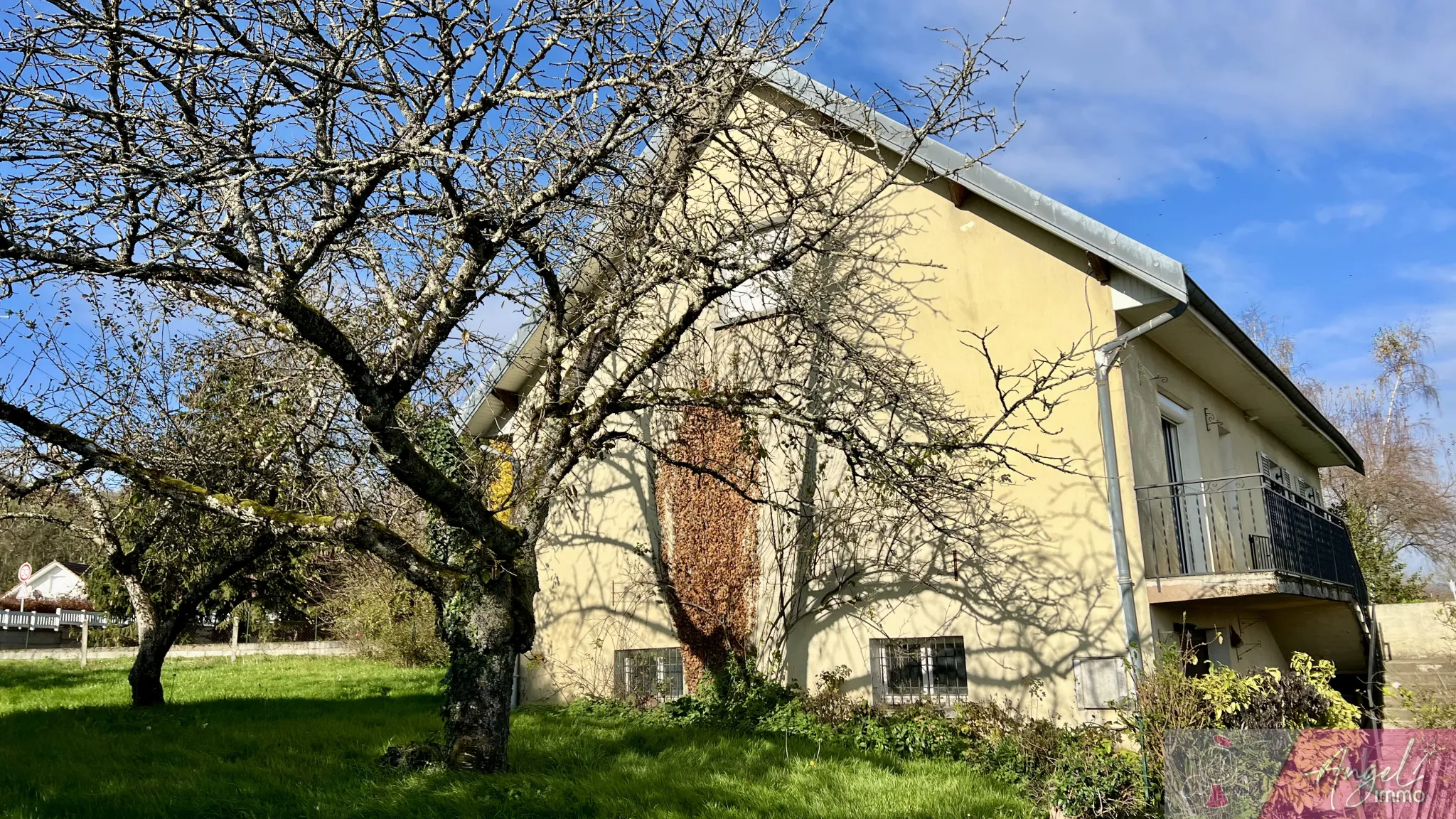 Maison spacieuse à vendre à Lavangeot avec sous-sol et jardin 