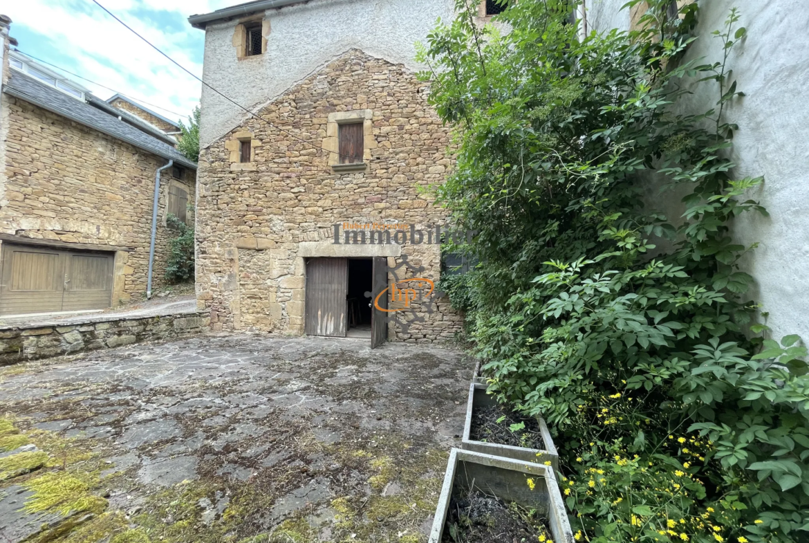 Vente maison avec terrasse et dépendances à Saint Sernin sur Rance 