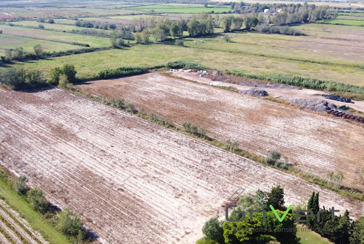 Terrain Agricole AOP de 4,68 Hectares aux Saintes-Maries-de-la-Mer 