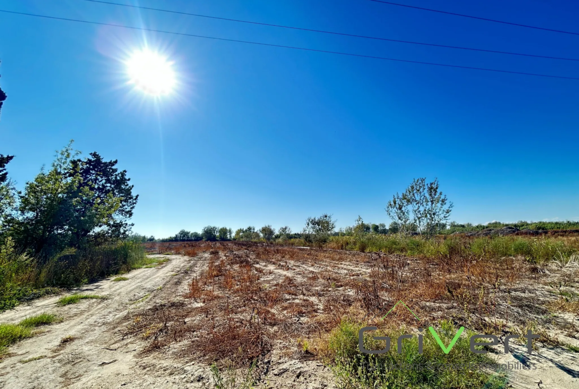 Terrain Agricole AOP de 4,68 Hectares aux Saintes-Maries-de-la-Mer 