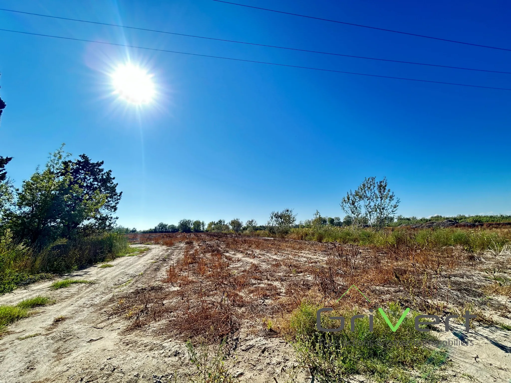 Terrain Agricole AOP de 4,68 Hectares aux Saintes-Maries-de-la-Mer 