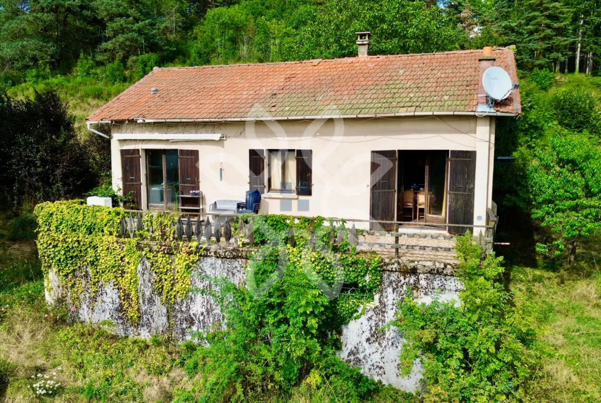 Maison avec Vue Panoramique à Champagnac-le-Vieux 