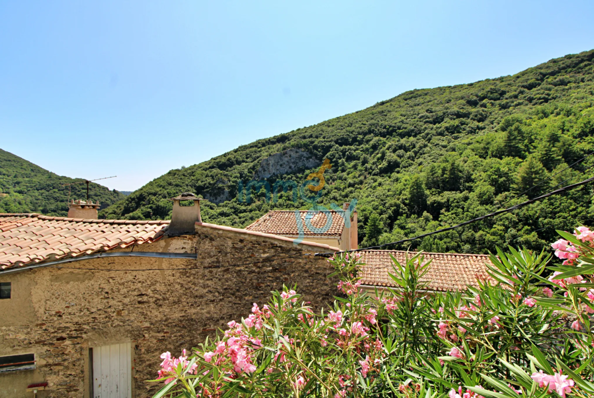 Belle maison en pierre à Citou avec piscine 