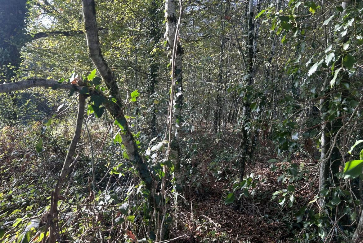 Terrain à bâtir à Saint-Clément en Corrèze - 4235 m² 