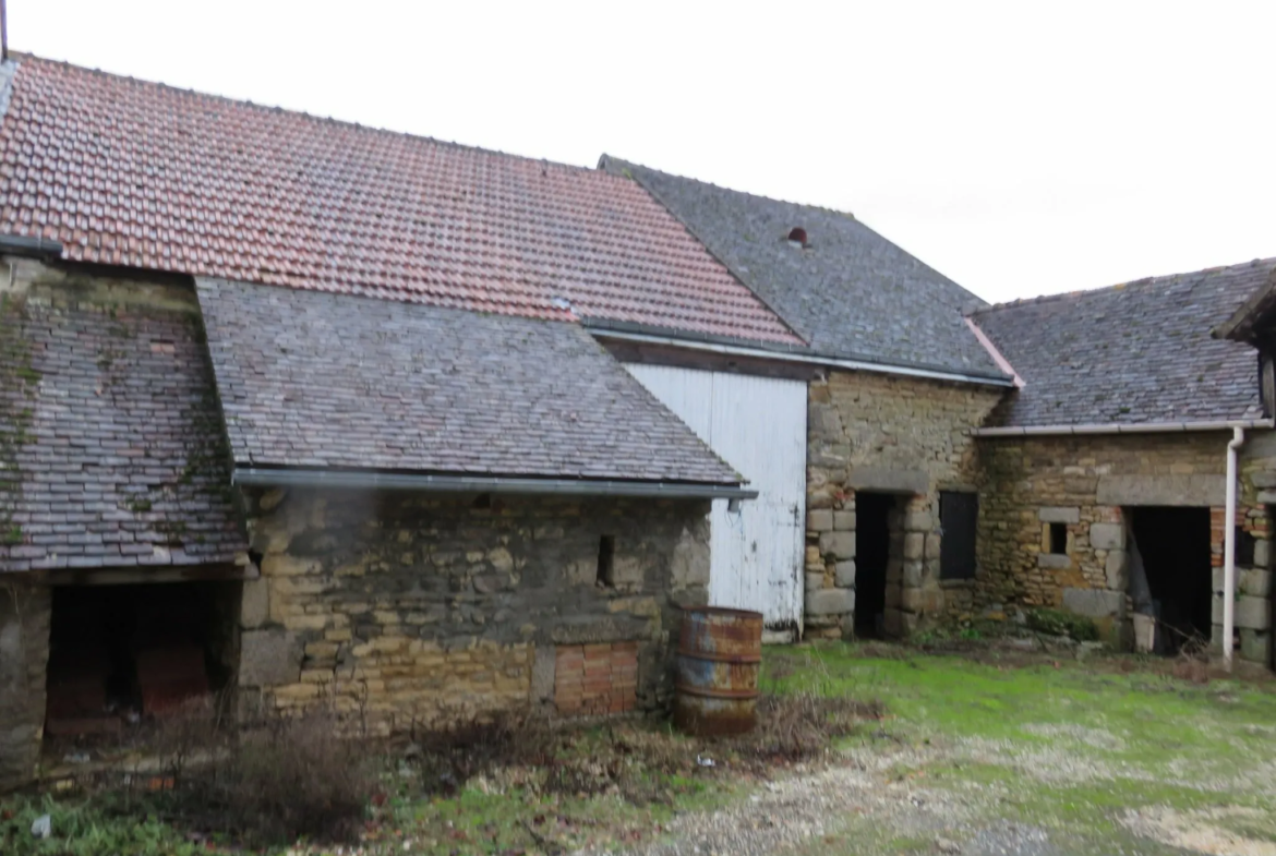 Maison en Pierre à Rénover à Damigny 