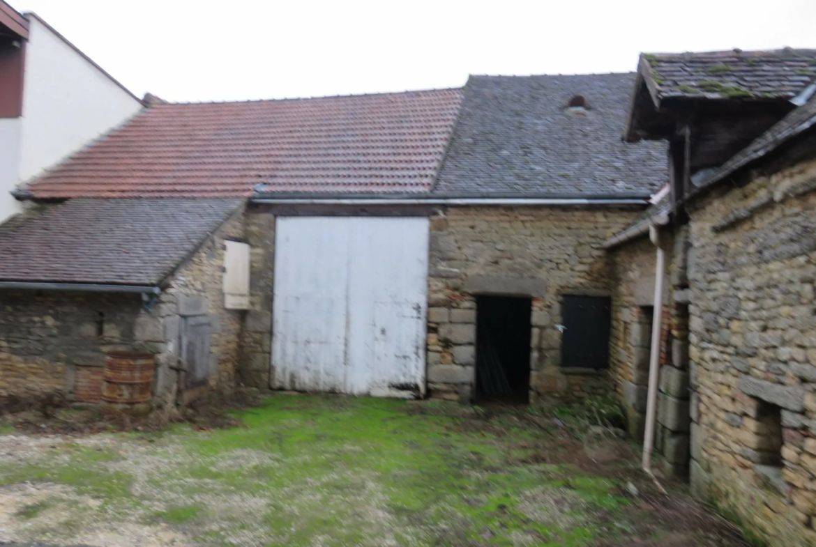 Maison en Pierre à Rénover à Damigny 