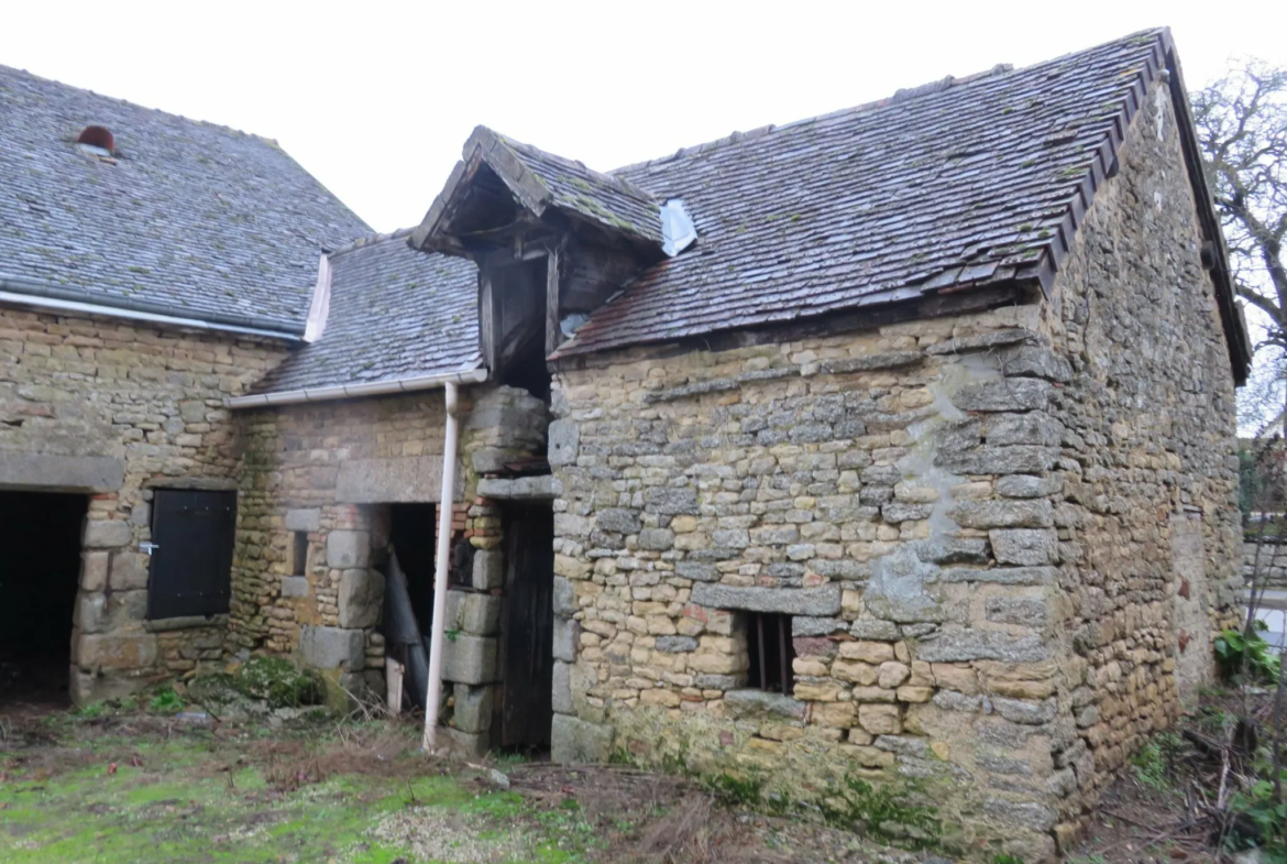 Maison en Pierre à Rénover à Damigny 