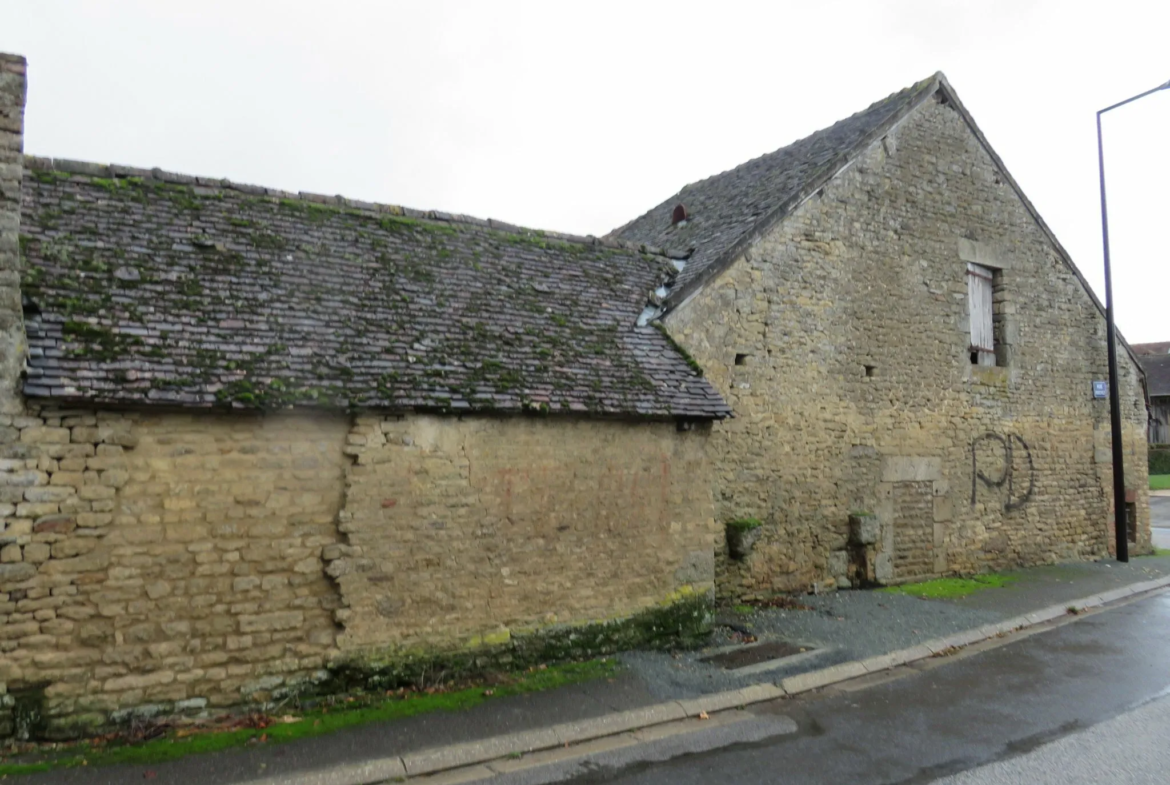 Maison en Pierre à Rénover à Damigny 