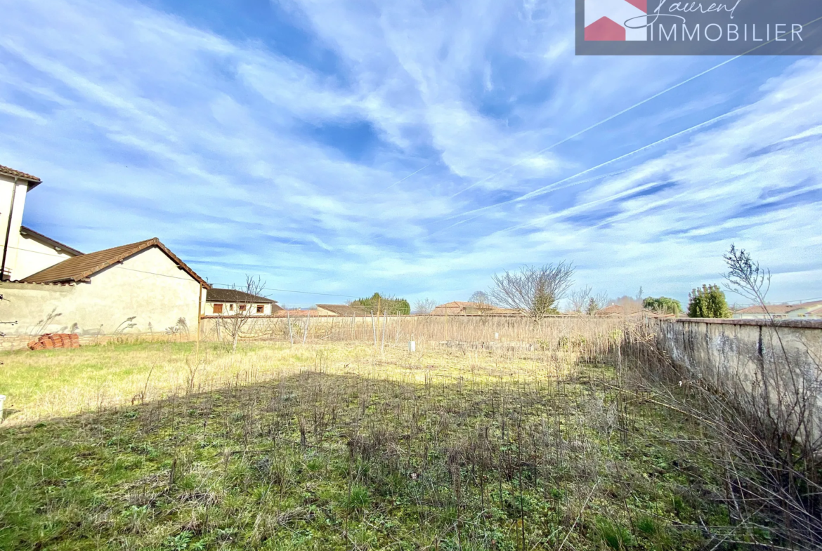 Maison à Manziat avec jardin de 1440 m² à vendre 