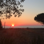 Maison les pieds dans l'eau à Solaro avec vue panoramique sur la mer