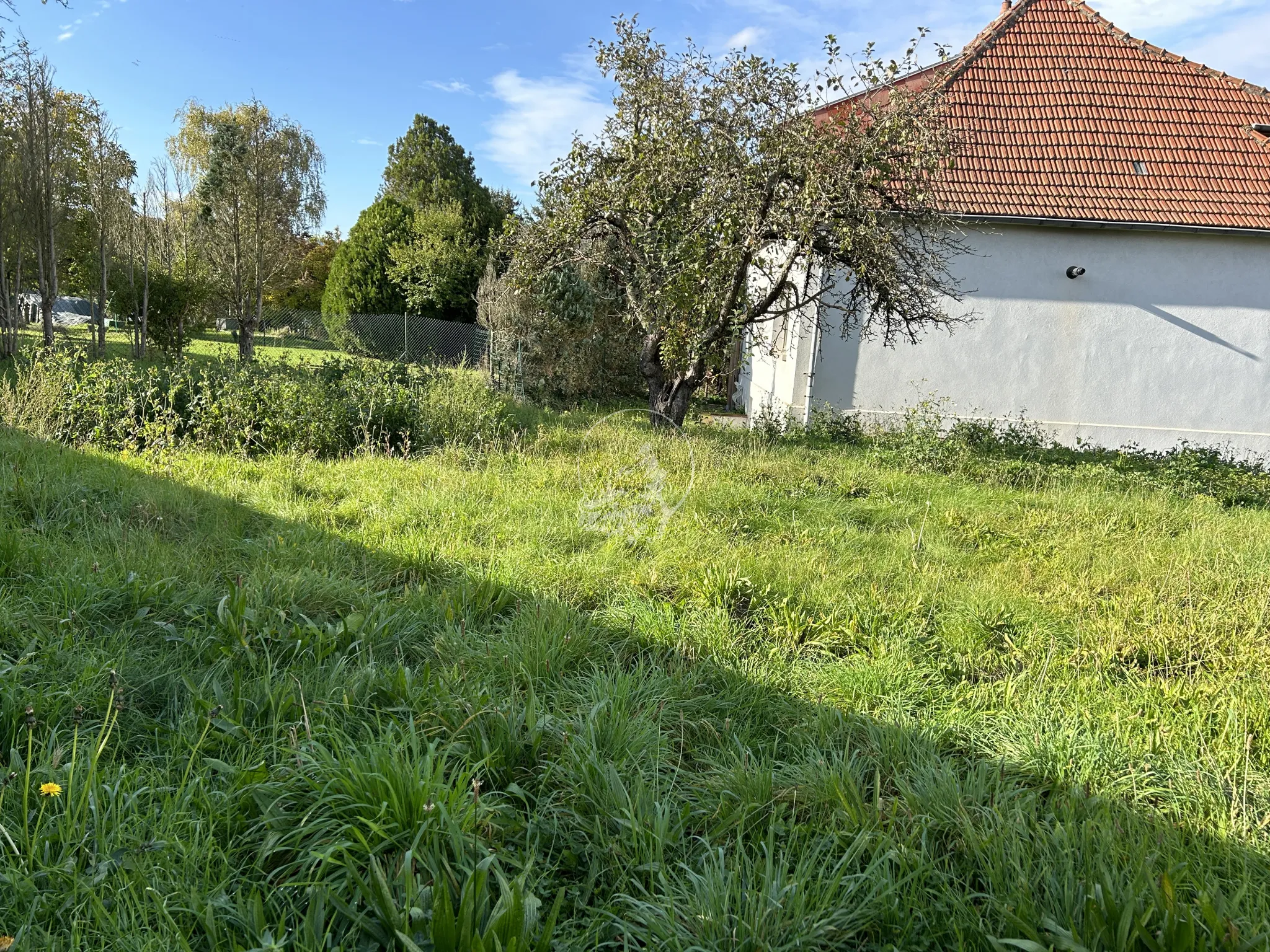 Maison individuelle à vendre à Longeville les Saint Avold 