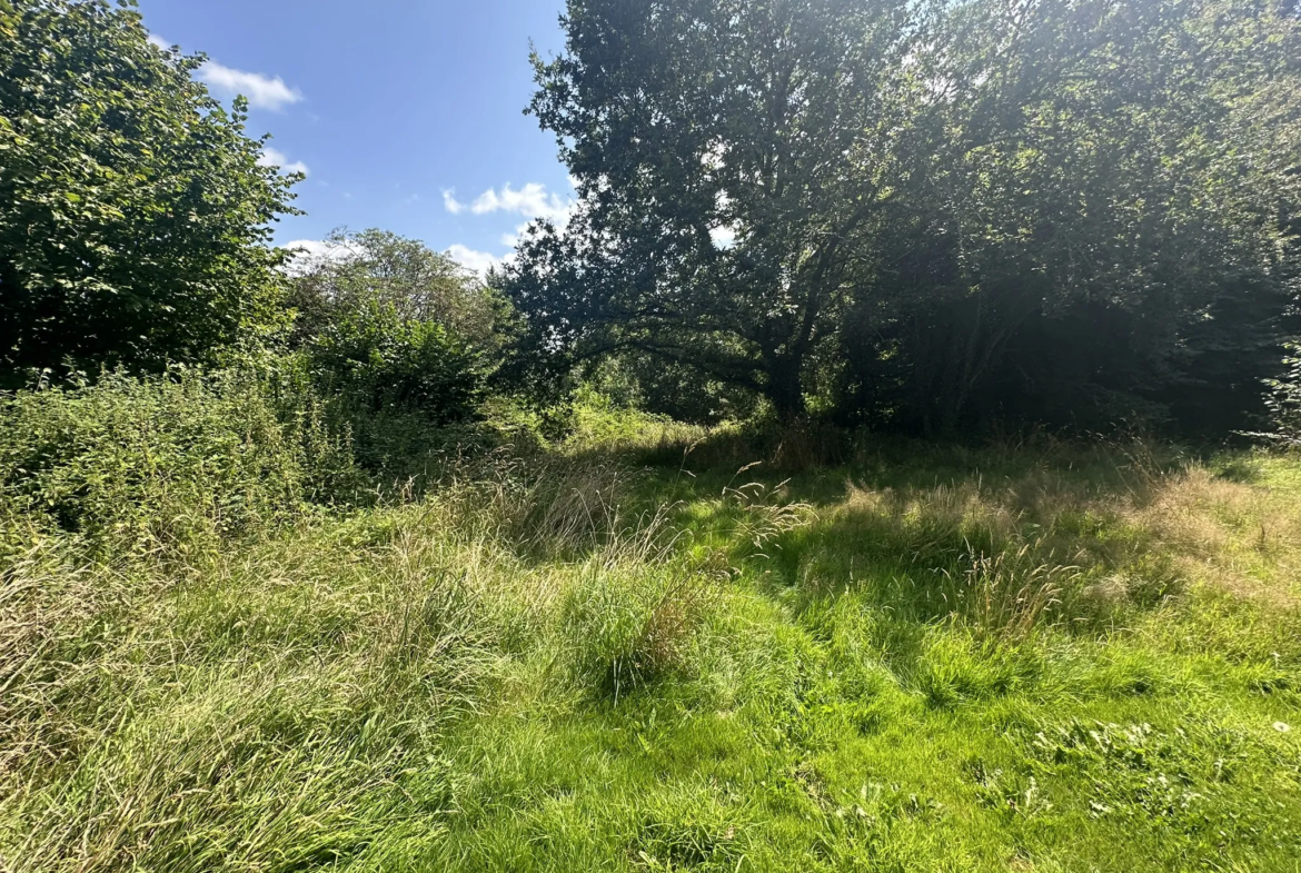 Maison à rénover à Guenin, avec grange sur 1,5 hectare 