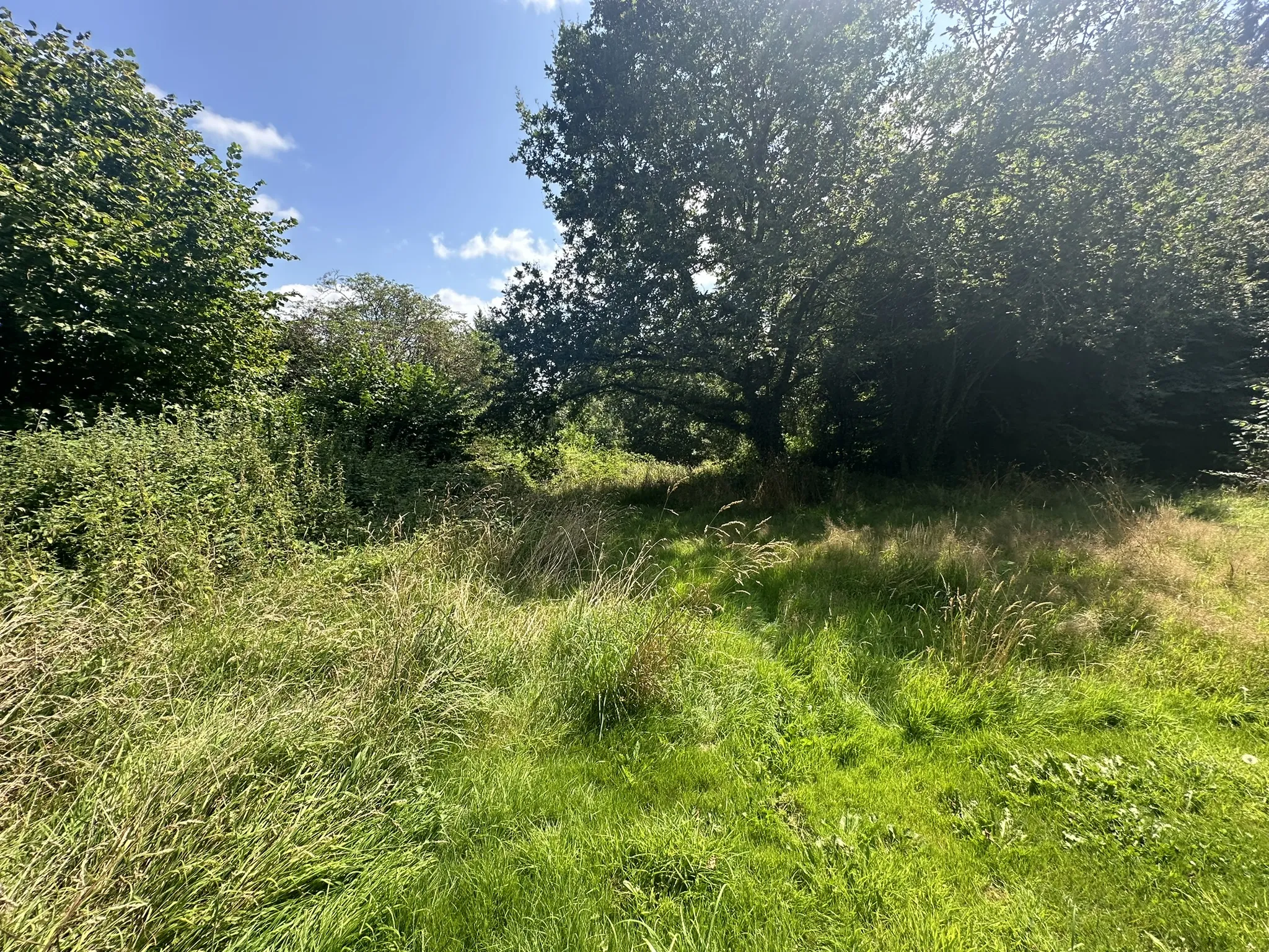 Maison à rénover à Guenin, avec grange sur 1,5 hectare 