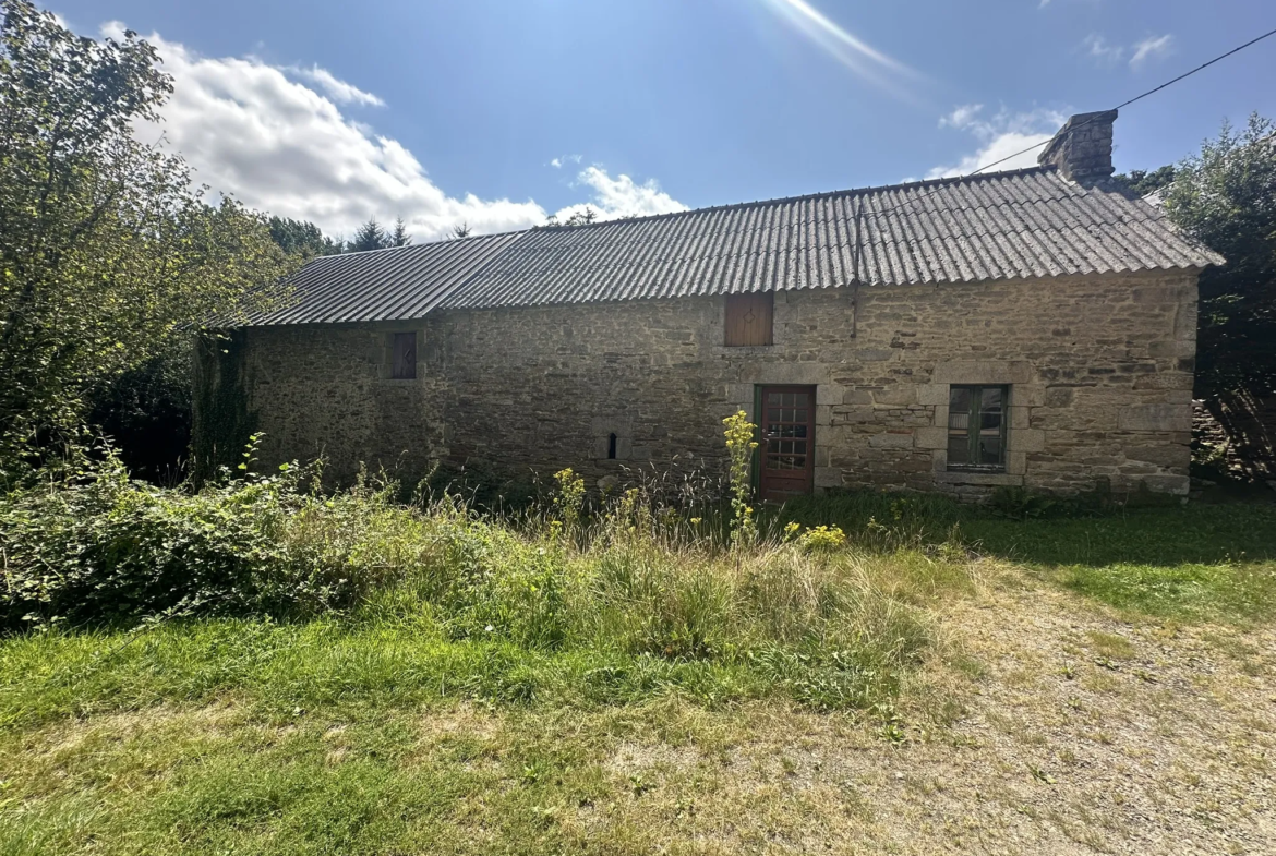 Maison à rénover à Guenin, avec grange sur 1,5 hectare 