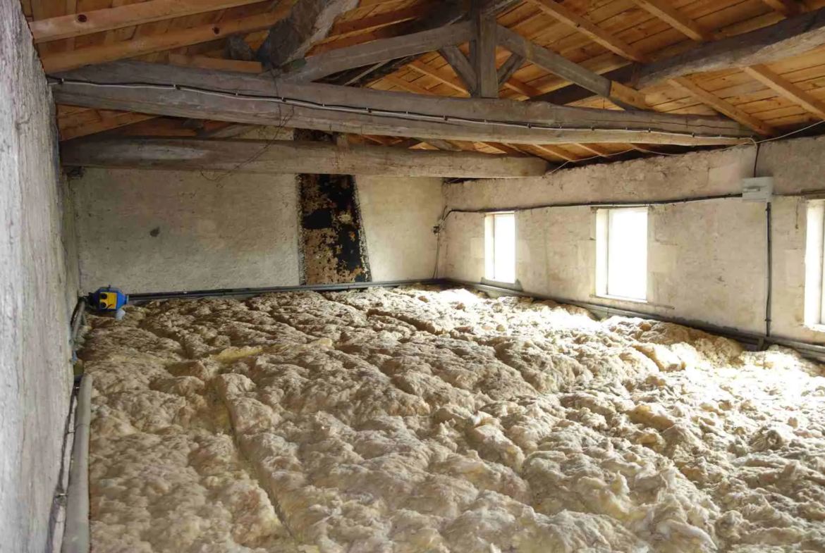 Maison en pierre avec grandes dépendances à St Ciers sur Gironde 