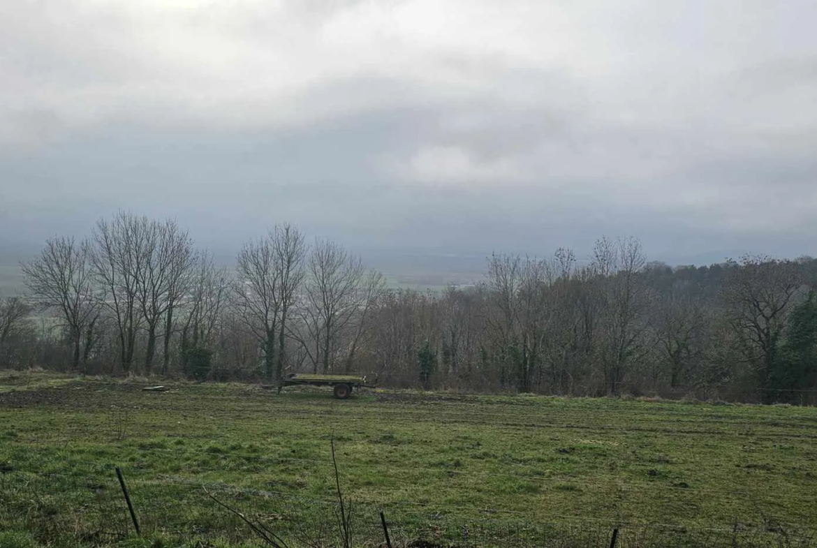 Vente d'un pavillon avec vue sur le lac de la Madine à Vigneulles les Hattonchat 