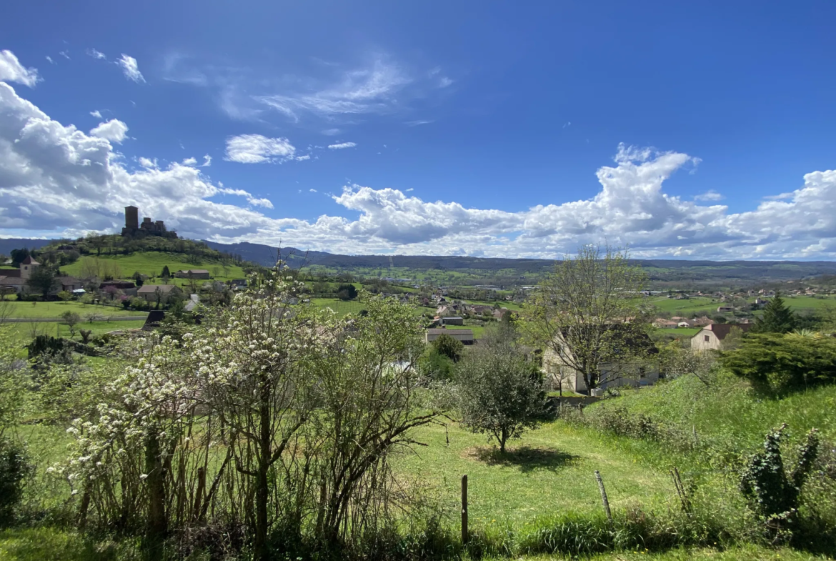 Maison de plain-pied à vendre à Saint Laurent les Tours - Vue sur le château 