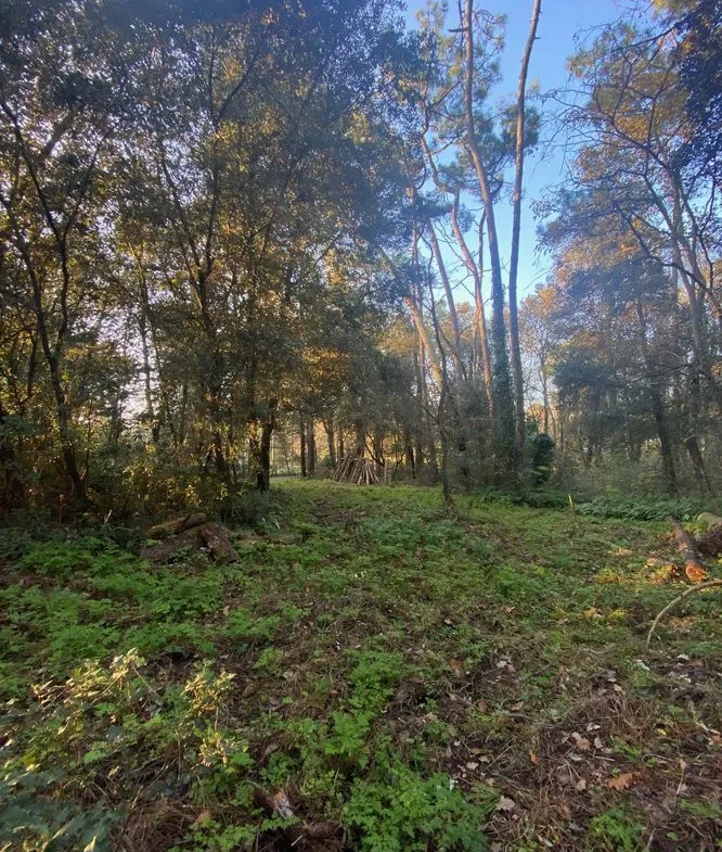 Terrain à bâtir boisé de 4092 m² dans le secteur Orouët, St Jean de Monts 