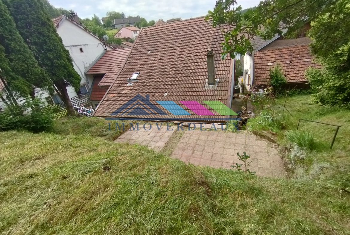 Maison à rénover avec 4 chambres à Val-et-Châtillon (54) 