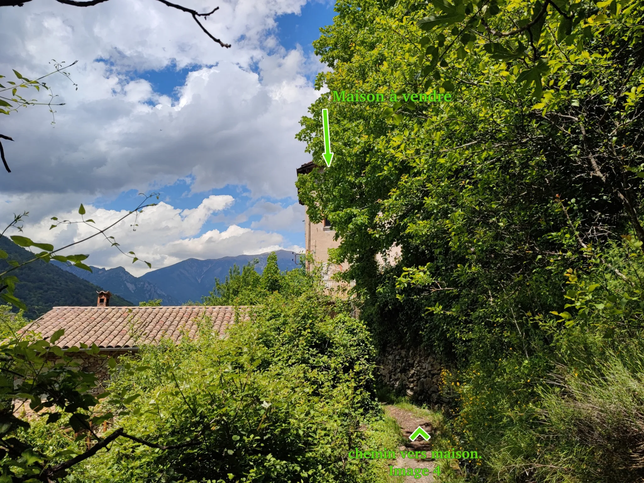 Maison à rénover à Lantosque avec grand terrain 