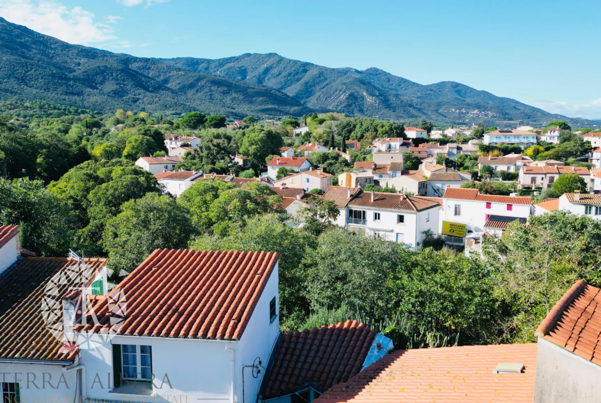 À vendre : Deux appartements avec jardin à Sorède 