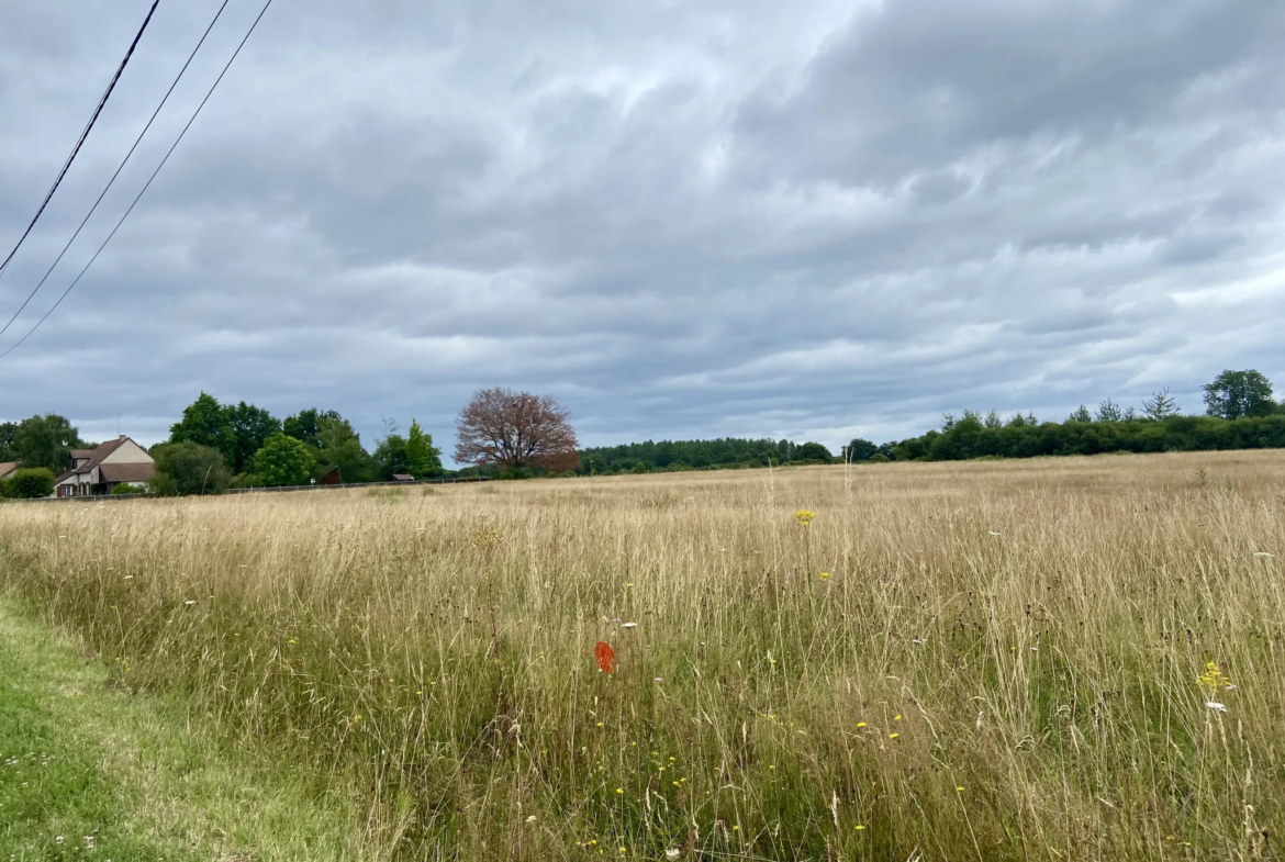 Terrain constructible de 3489 m² à Méry-sur-Cher 