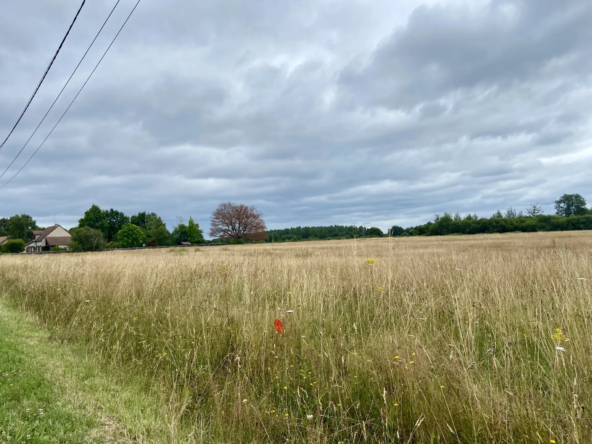 Terrain constructible de 3489 m² à Méry-sur-Cher