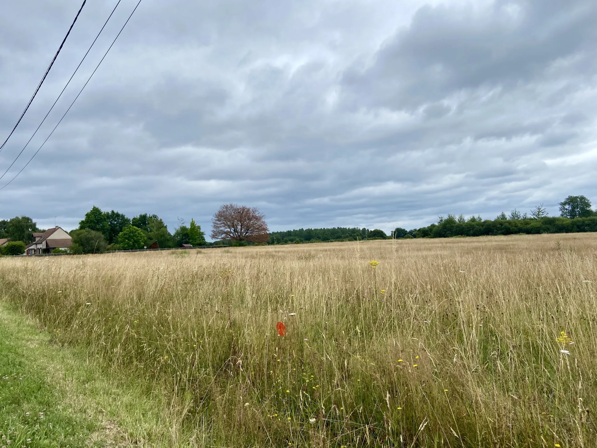 Terrain constructible de 3489 m² à Méry-sur-Cher 