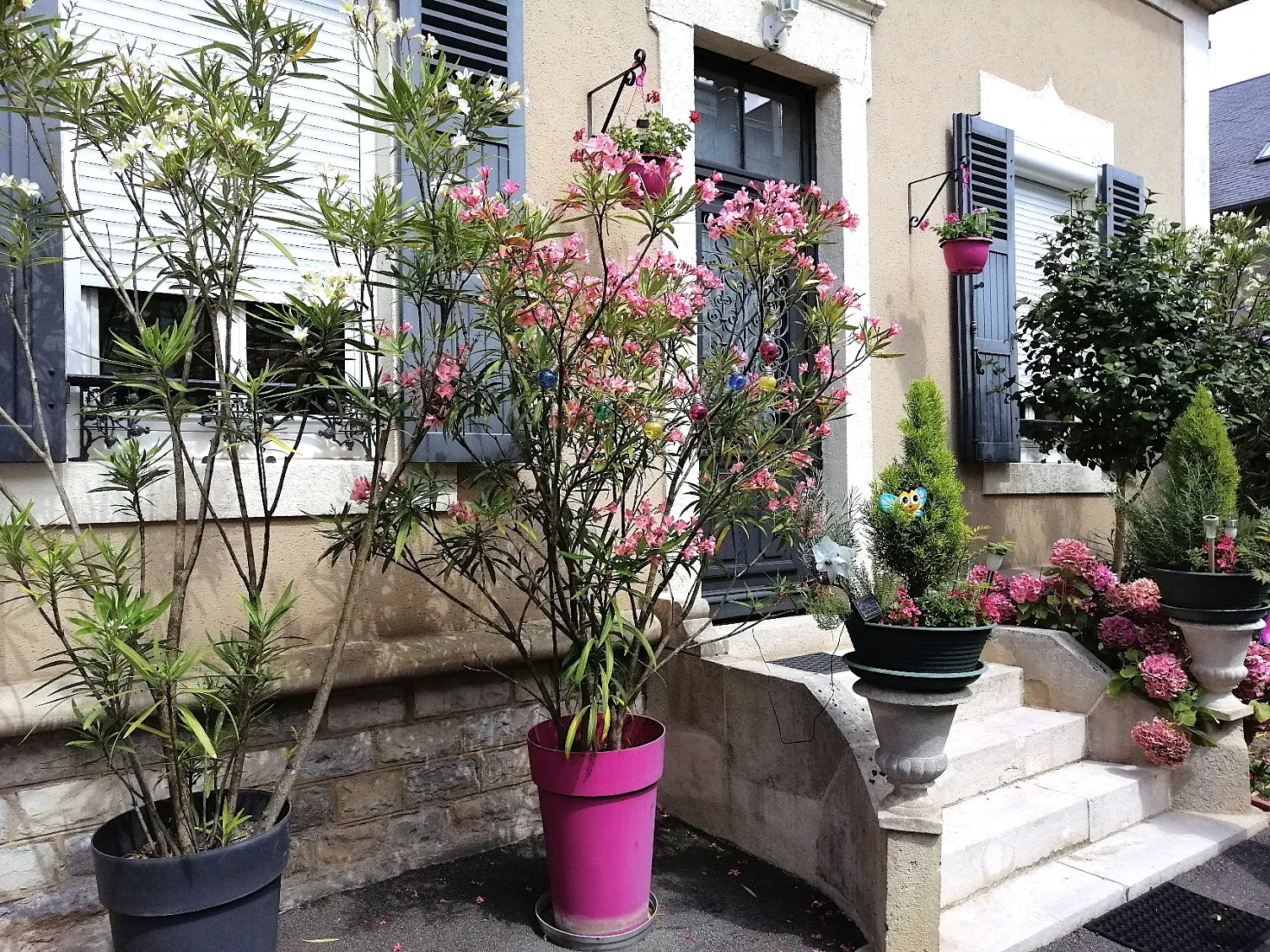 Maison T.6 avec jardin et piscine à Nevers, centre-ville 