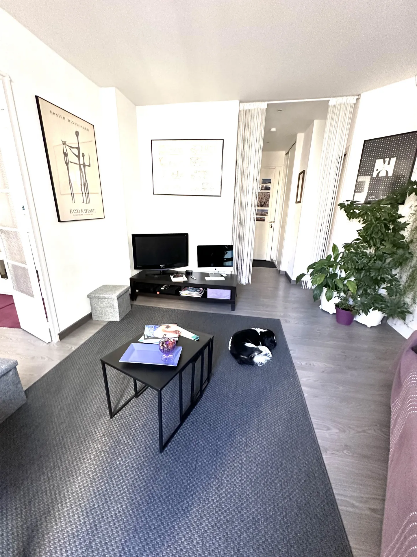 À vendre : Appartement de 51 m² dans le quartier des Catalans, Marseille 