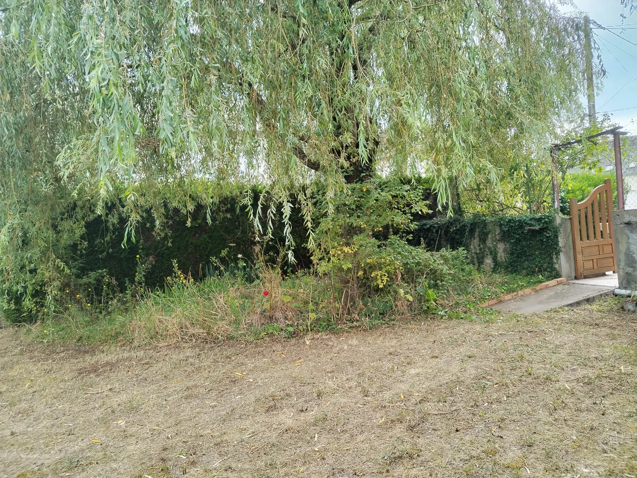 Grande Maison à La Guerche Sur L'Aubois à vendre 