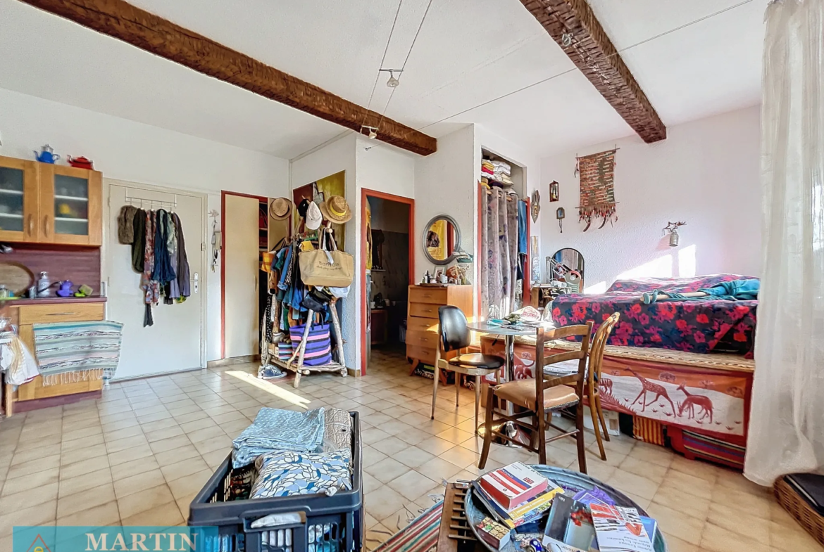 Studio lumineux à vendre à Céret - 31,73 m² 