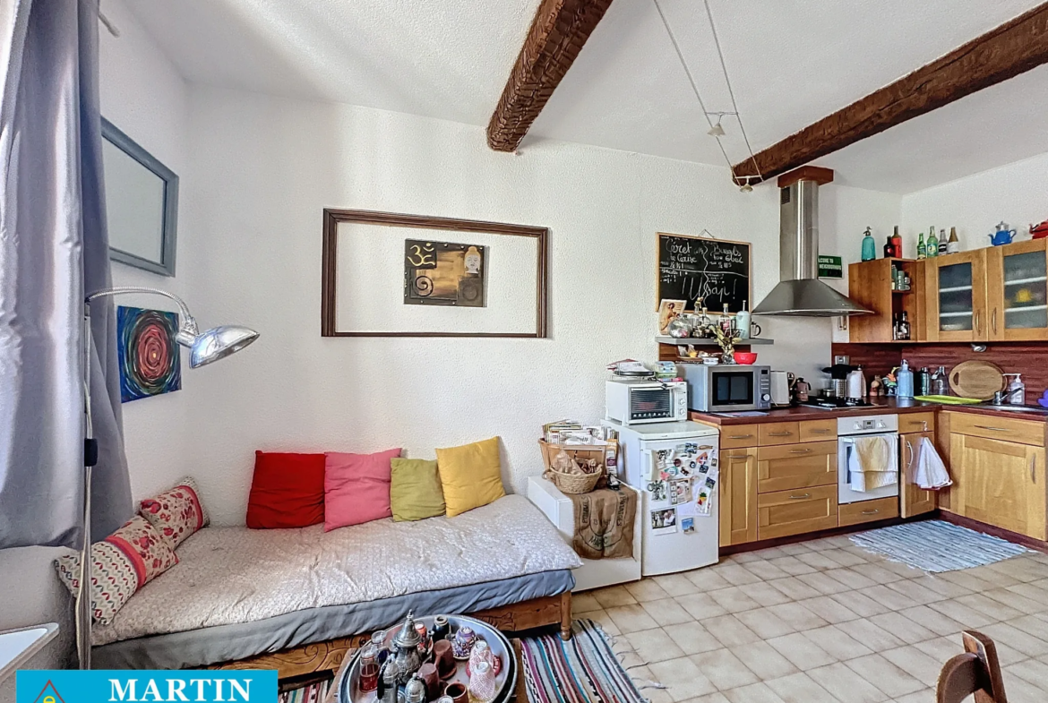 Studio lumineux à vendre à Céret - 31,73 m² 