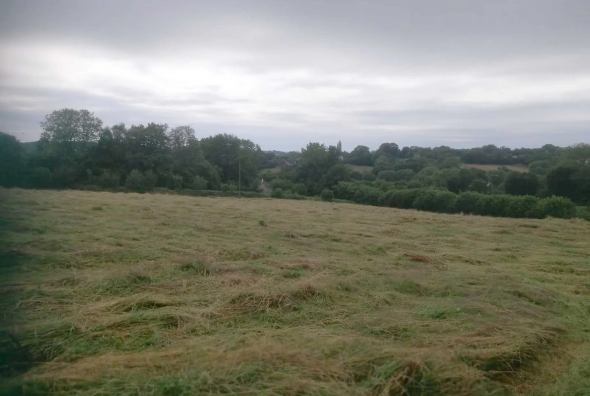 Maison spacieuse avec grand terrain à Échauffour 